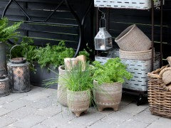 Laterne mit Blumenmuster, Chic Antique