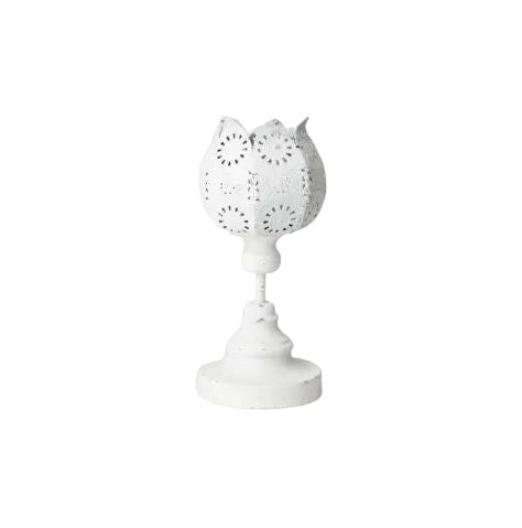 Kerzenhalter weiss, Blume