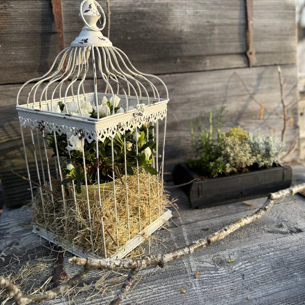 Deko-Käfig gross, cremeweiss, Chic Antique – Amelie's GmbH