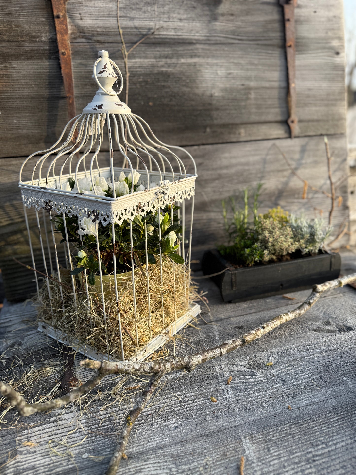 Deko-Käfig gross, cremeweiss, Chic Antique