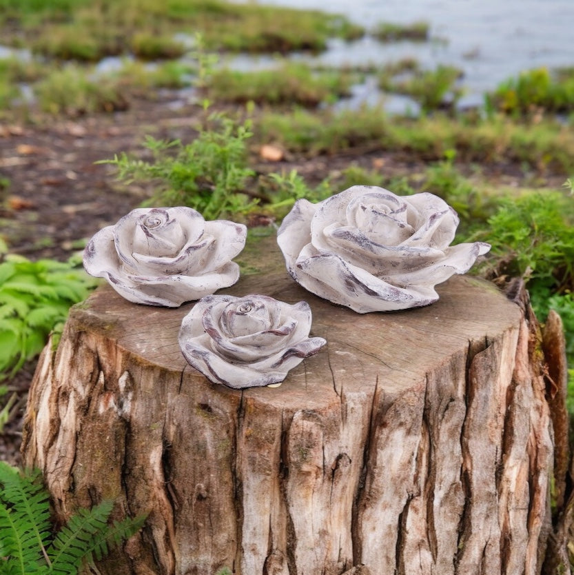 
                      
                        Rose creme-weiss, 20 cm
                      
                    