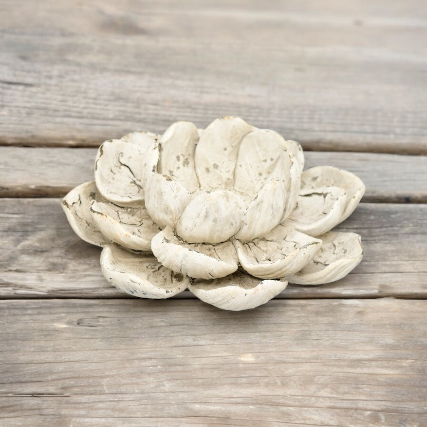 
                      
                        Lotusblume, Polyresin, 17 cm
                      
                    
