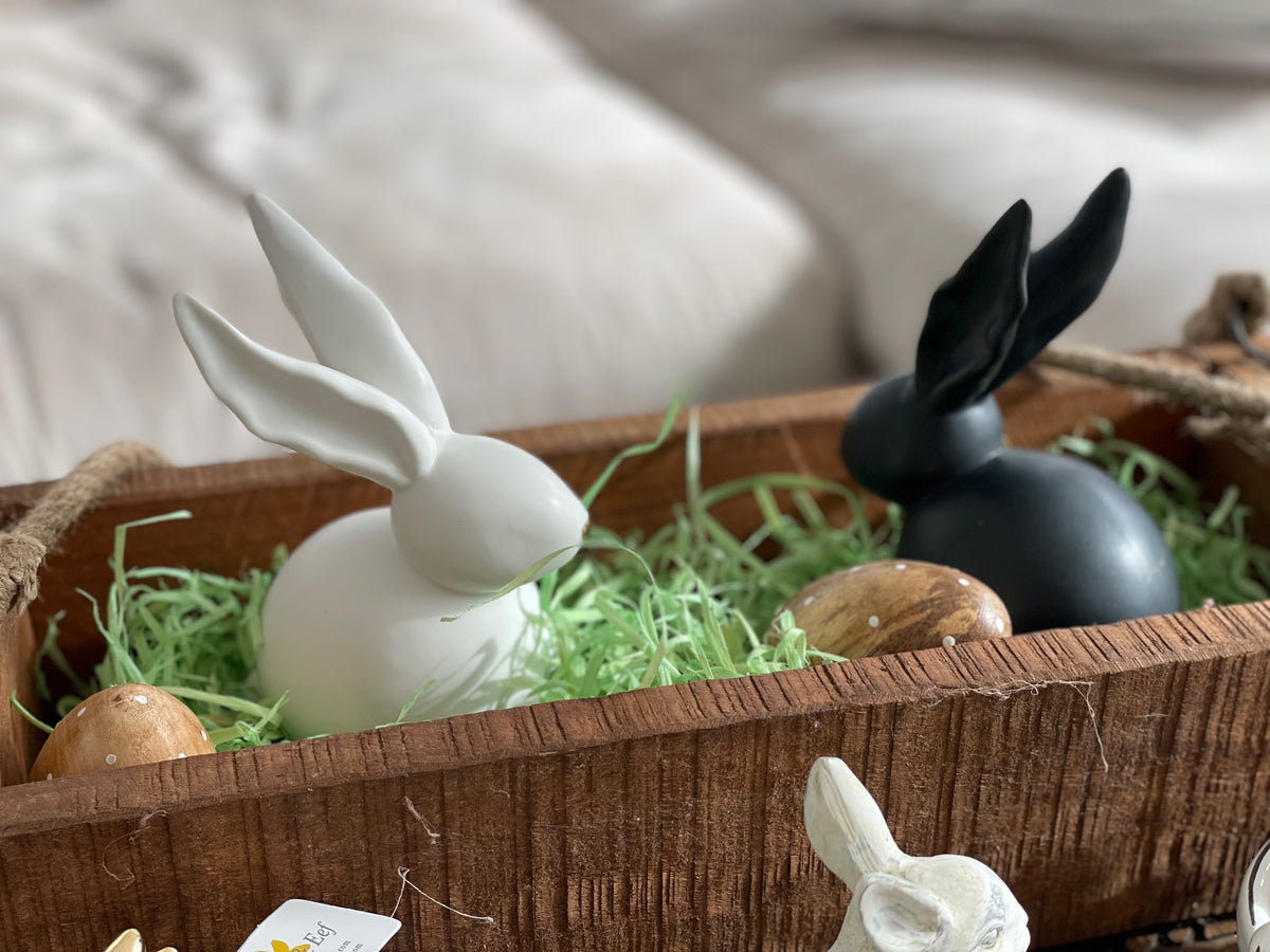 Hase